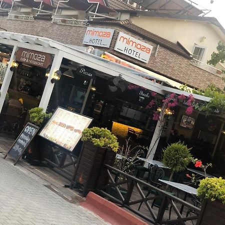 אולודניץ Mimoza Hotel מראה חיצוני תמונה