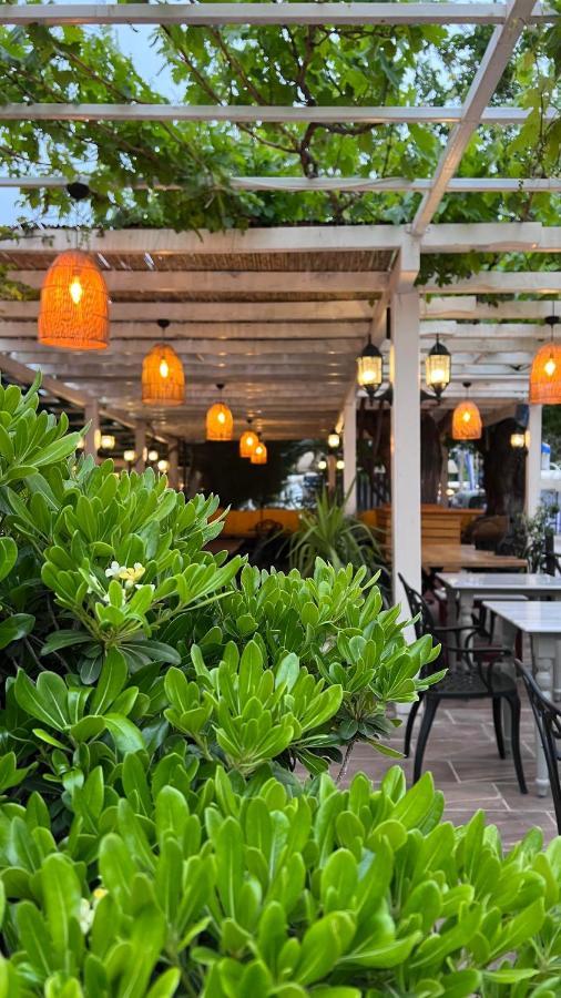 אולודניץ Mimoza Hotel מראה חיצוני תמונה