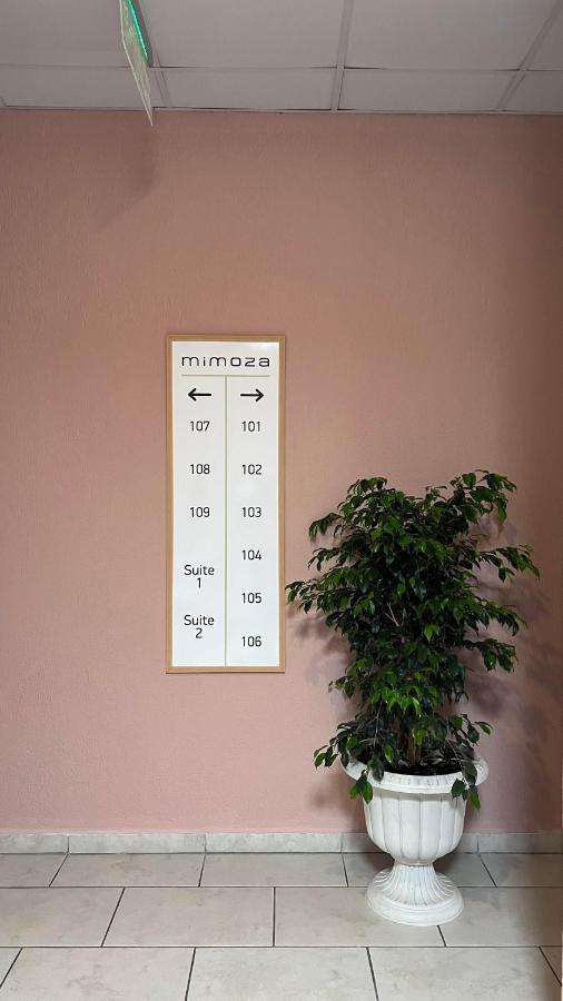 אולודניץ Mimoza Hotel מראה חיצוני תמונה