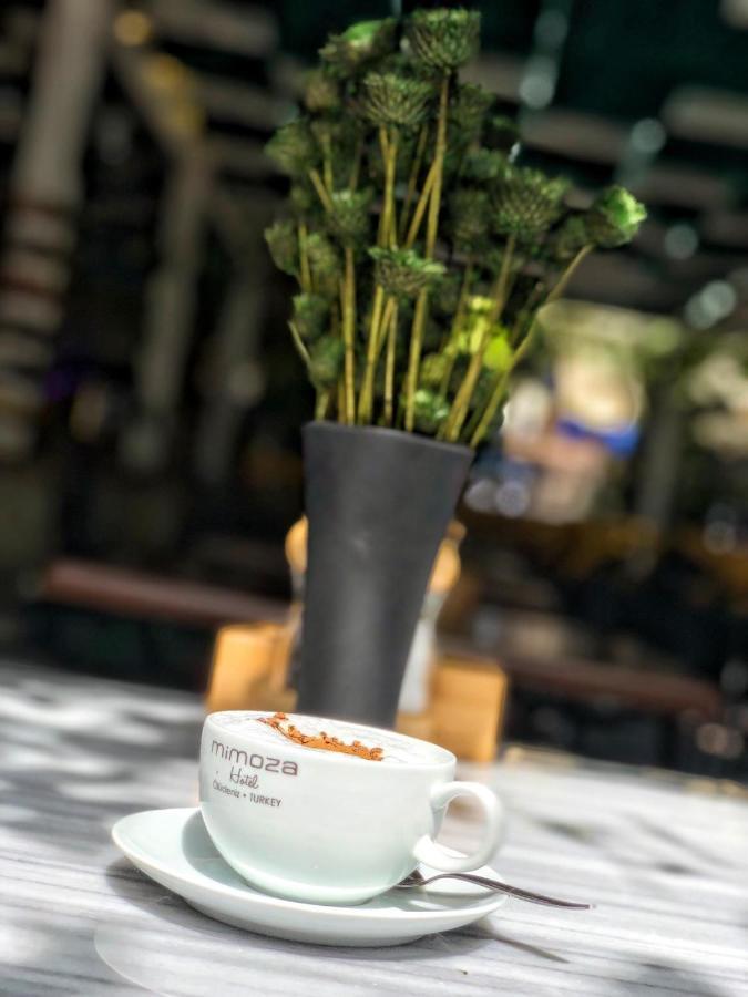 אולודניץ Mimoza Hotel מראה חיצוני תמונה